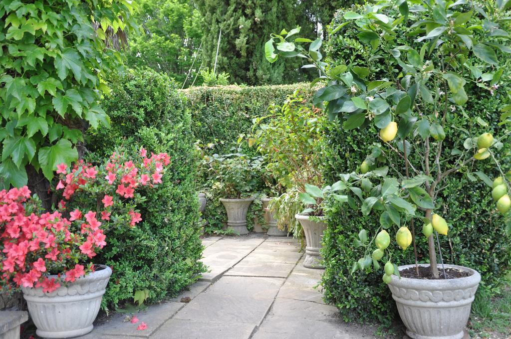 Domaine De Paguy Bed & Breakfast Betbezer Bilik gambar