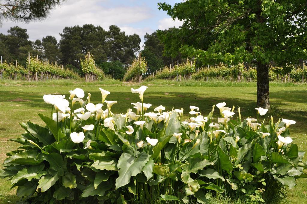 Domaine De Paguy Bed & Breakfast Betbezer Luaran gambar