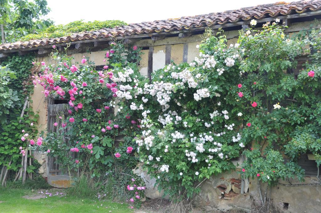 Domaine De Paguy Bed & Breakfast Betbezer Bilik gambar