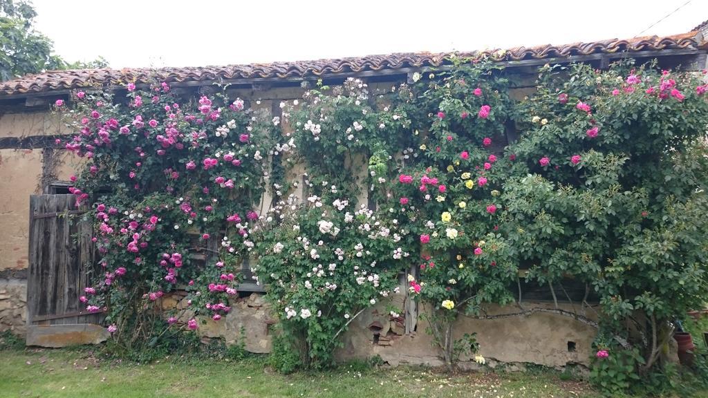 Domaine De Paguy Bed & Breakfast Betbezer Luaran gambar
