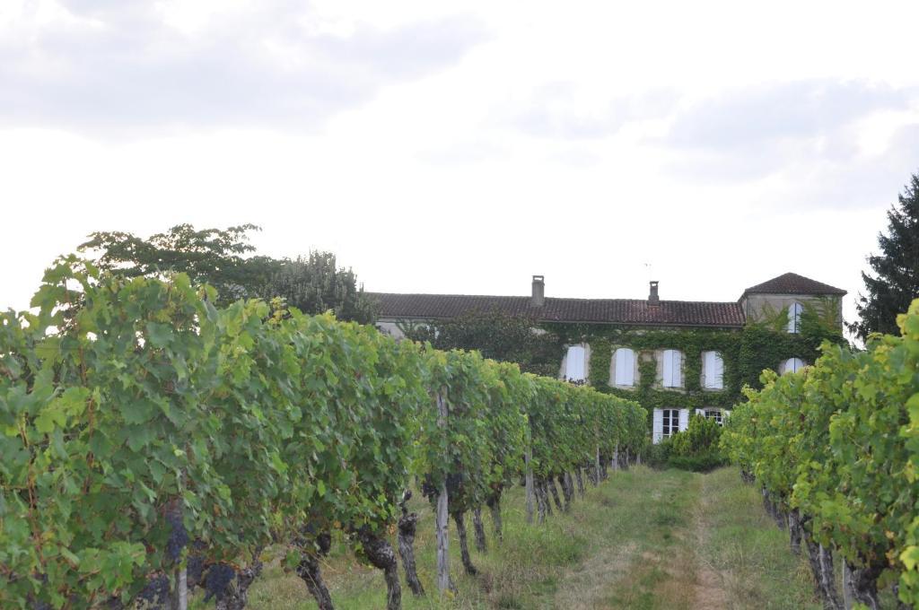 Domaine De Paguy Bed & Breakfast Betbezer Luaran gambar